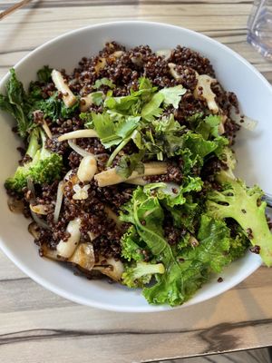 Mushrooms Wonderland at Alice & Friends' Vegan Kitchen in Chicago