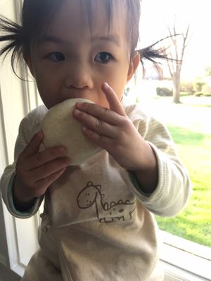 Toddler eating vegan Bao at Alice & Friends' Vegan Kitchen in Chicago