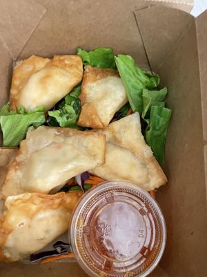 Vegan crab Rangoon!  at Alice & Friends' Vegan Kitchen in Chicago