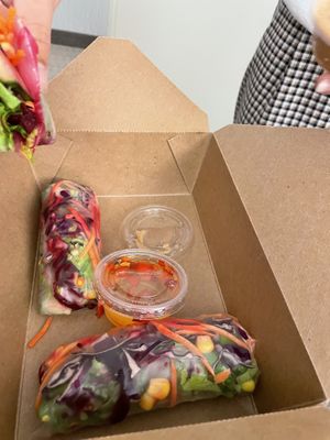 Rainbow rolls!  at Alice & Friends' Vegan Kitchen in Chicago