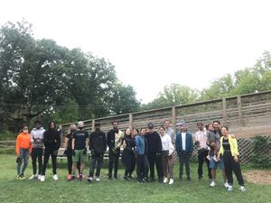 Alice and Friends Team Outing at Go Ape at Alice & Friends' Vegan Kitchen in Chicago