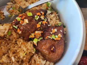 Teriyaki at Alice & Friends' Vegan Kitchen in Chicago