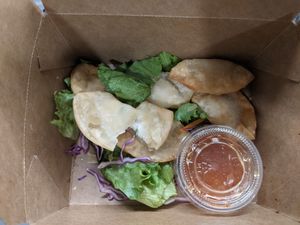   at Alice & Friends' Vegan Kitchen in Chicago