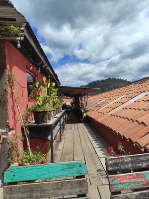  at Cafe Bohème   in Antigua