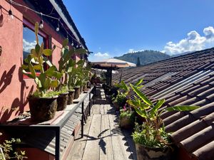 Terrasse   at Cafe Bohème   in Antigua