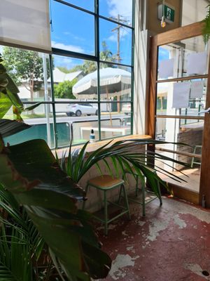 Good for people watching at Willow Wine Cafe in Kingsville