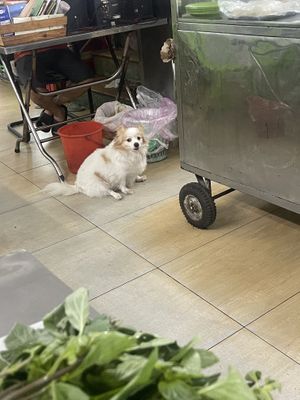   at Pho Chay Nhu in Ho Chi Minh City