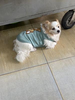   at Pho Chay Nhu in Ho Chi Minh City