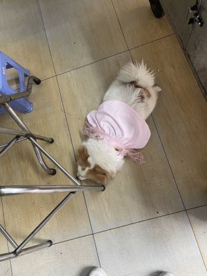   at Pho Chay Nhu in Ho Chi Minh City