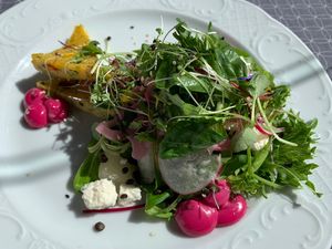 Vegan starter in the summer menu: Grilled chilli and herb polenta at Noot in Parnu
