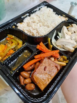 Hainanese Chicken Rice , Failed  ~ 8/6/22 at Daily Green 吉祥素 - Blk 721 Ang Mo Kio in Northeast Singapore