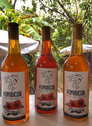 Kombuchas at Monique's Bakery and Cafe de Alta Nutrición in Merida