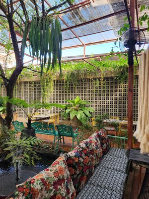  at Downtown - Vegan Garden Restaurant in Chiang Mai