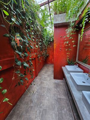  at Downtown - Vegan Garden Restaurant in Chiang Mai