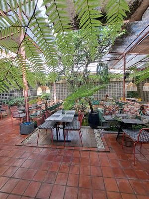  at Downtown - Vegan Garden Restaurant in Chiang Mai