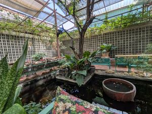  at Downtown - Vegan Garden Restaurant in Chiang Mai