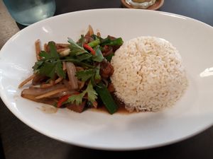 Tempeh dish with rice at Downtown - Vegan Garden Restaurant in Chiang Mai