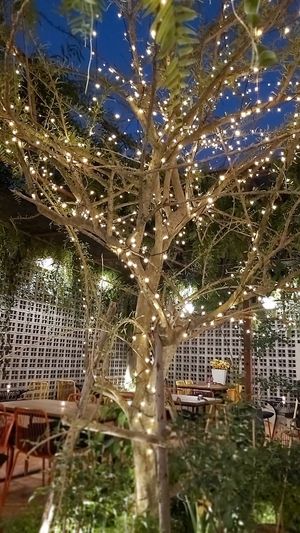 Garden at Downtown - Vegan Garden Restaurant in Chiang Mai