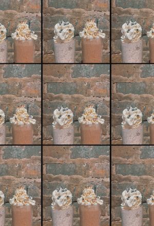 Vegan mint chocolate chip & chocolate peanut butter milkshakes 🍨  at The Chicago Diner - Lakeview in Chicago