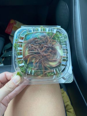 My falafel salad that I was charged for with clearly no falafel lol.  Server was exceedingly rude   at Life Bistro in Atlanta