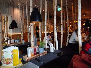 Ieder vind zijn plekje in het berkenbos at Hans im Glück in Kufstein