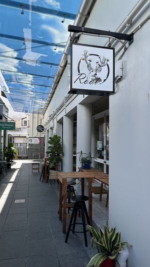   at Root Vegetarian in Cairns