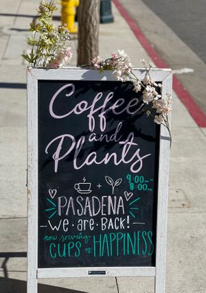 Sign on Colorado by the walkway btw the buildings to get to the coffee shop at Coffee And Plants in Pasadena