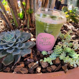 Pink matcha at Coffee And Plants in Pasadena