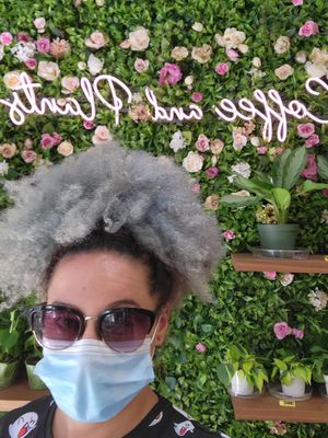 Instagram mecca at Coffee And Plants in Pasadena