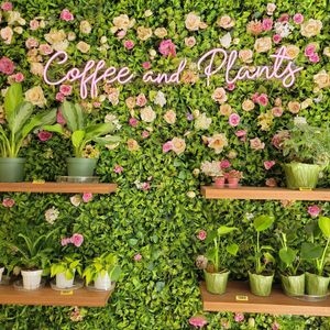 Inside at Coffee And Plants in Pasadena