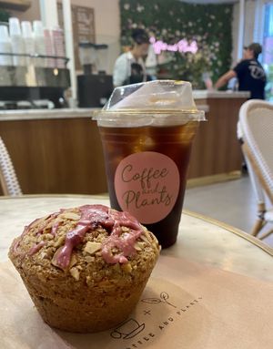 Cherry almond butter muffin and cold brew at Coffee And Plants in Pasadena