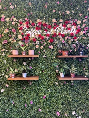   at Coffee And Plants in Pasadena