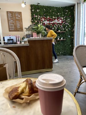   at Coffee And Plants in Pasadena