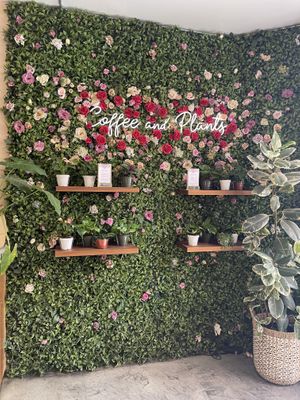 Cute wall  at Coffee And Plants in Pasadena