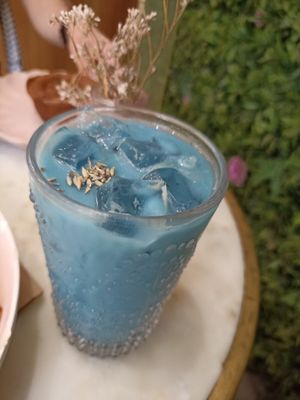  at Coffee And Plants in Pasadena