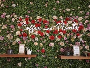  at Coffee And Plants in Pasadena