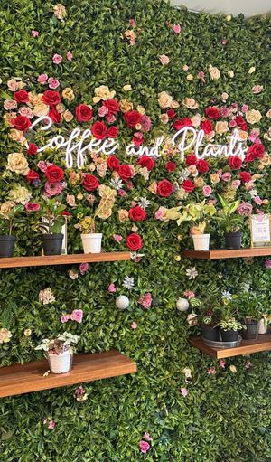  #Veganuary at Coffee And Plants in Pasadena