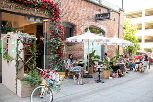  at Coffee And Plants in Pasadena