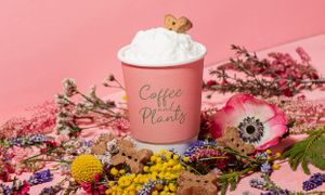  at Coffee And Plants in Pasadena