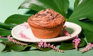  at Coffee And Plants in Pasadena