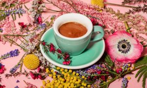  at Coffee And Plants in Pasadena