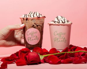  at Coffee And Plants in Pasadena