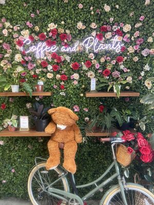 Plant peoplee  at Coffee And Plants in Pasadena