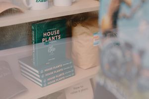 Retail at Coffee And Plants in Pasadena