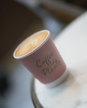 Living by our low-waste philosophy, our take out containers are fully recyclable at Coffee And Plants in Pasadena