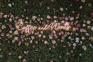 We clearly into plants... at Coffee And Plants in Pasadena