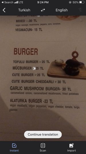 Roughly translated menu at Cute Gastro Pub in Izmir