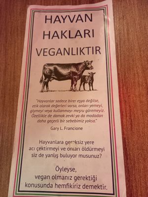  at Cute Gastro Pub in Izmir