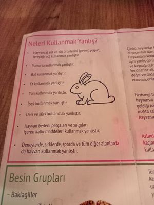  at Cute Gastro Pub in Izmir