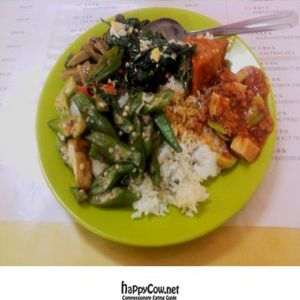 dining-$4.50 with cup of plain water at Casa Station Vegetarian Restaurant in Alor Setar